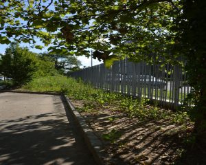 Cour des comptes européenne - Clôture en bambou