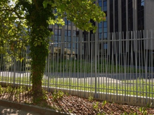 Cour des comptes européenne - Clôture en bambou