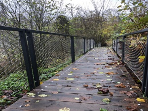Chemin de promenade