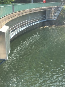 Paserelle métalique avec garde-corps en acier